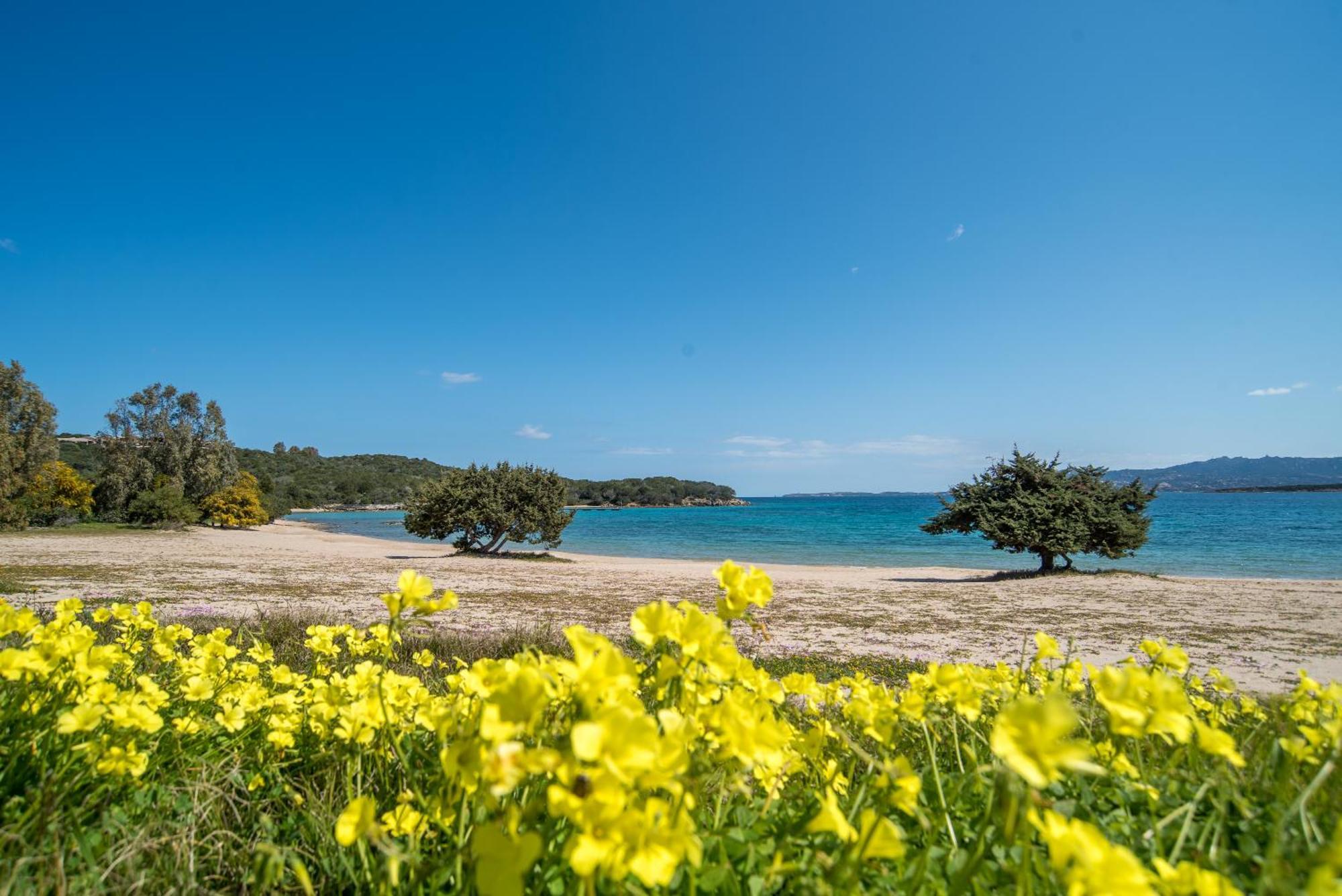 Appartamento Palau Sole Bagian luar foto